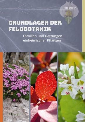 Cover Grundlagen der Feldbotanik Kreativpinsel Lüder