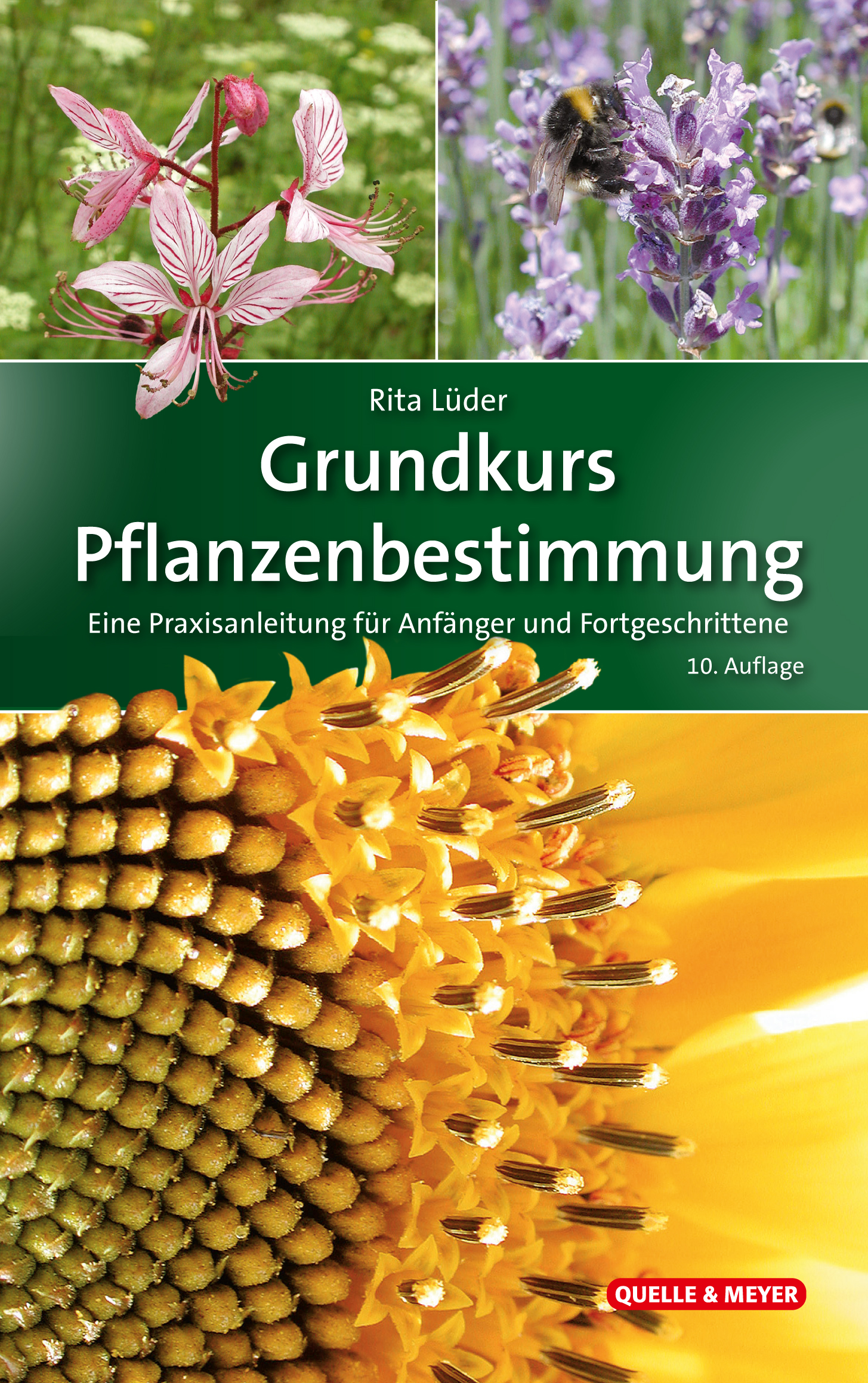 Cover Grundkurs Pflanzenbestimmung Lüder Kreativpinsel